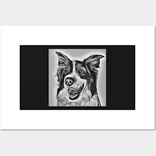 Border Collie Black and White with Grey - Hand drawn design Posters and Art